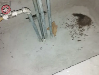 南昌市卫生间测漏水价格明细